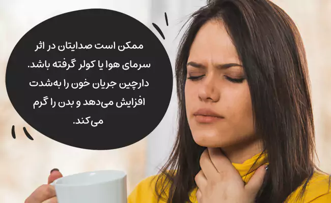 چای دارچین